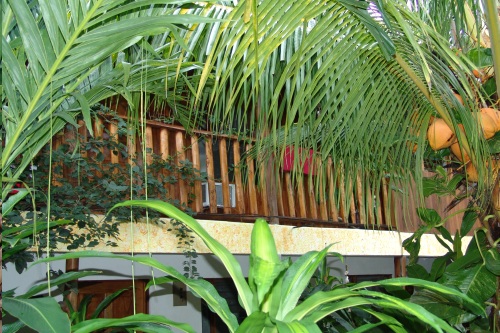 Hotel Belvedere 005